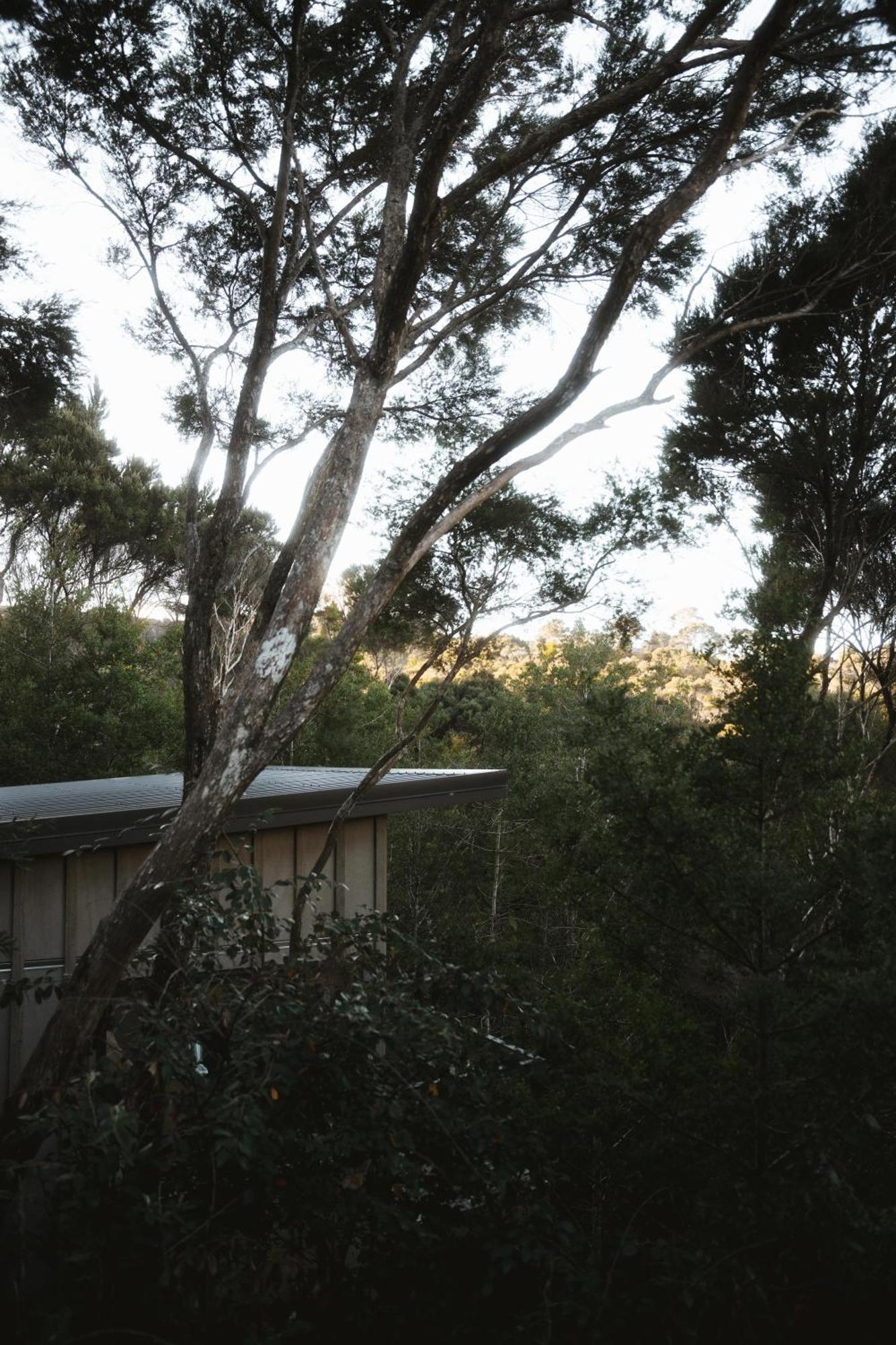 Treehouse Hideaway At Rekindle Tree Houses Opua Buitenkant foto